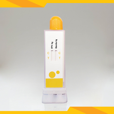 FPV+Giardia Lamblia Antigen Combo Test Kit: ความรู้สึกและความมั่นคง