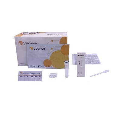 Canine Distemper Virus CDV Ag ชุดทดสอบ Serum Plasma