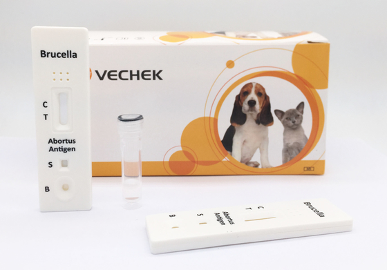 10 นาที การทดสอบ Bovine Brucella Antigen ด้วยคุณภาพและเบื้องต้น