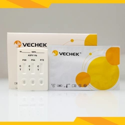 ASFV P30/P54/P72 แอนติบอดี Combo Rapid Test Cassette (เซรั่ม/พลาสม่า)