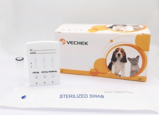 ชุดทดสอบสุนัข OEM CPV CCV Giardia Lamblia Antigen Rapid Diagnostic